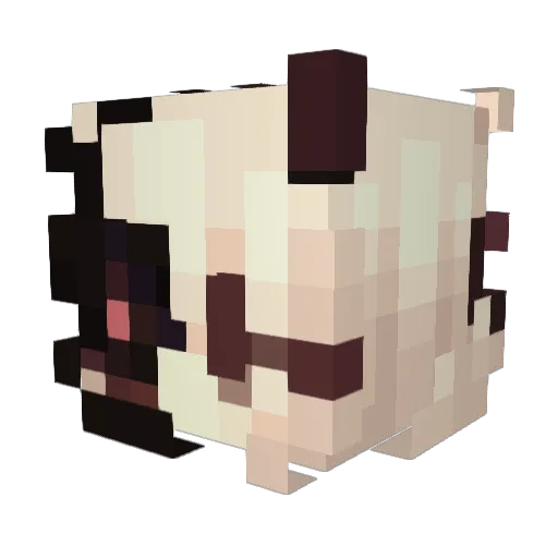 Strxxper Minecraft avatar head, 3D render