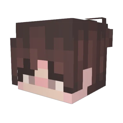 StryStry Minecraft avatar head, 3D render