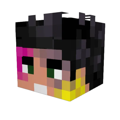 Strych9ines Minecraft avatar head, 3D render