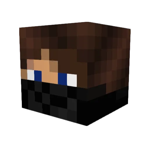 Strychn9ne Minecraft avatar head, 3D render