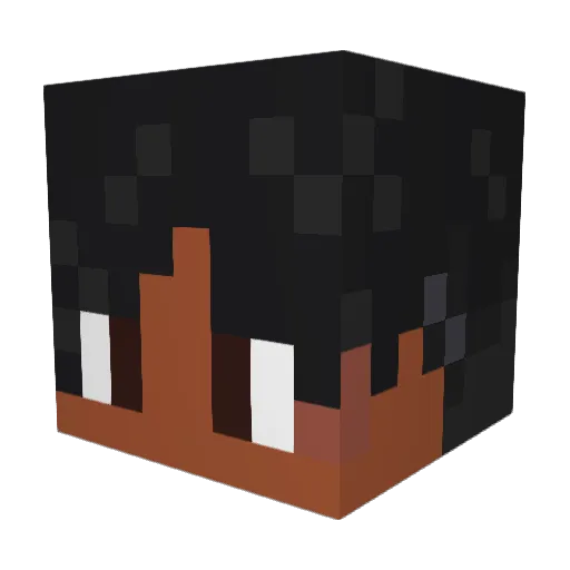 Stryjuv16 Minecraft avatar head, 3D render