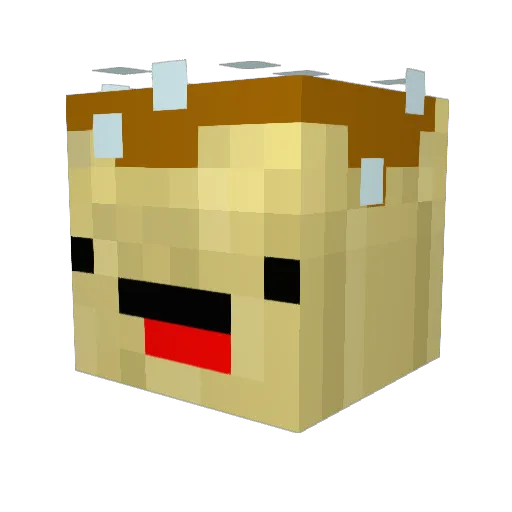 Stryker2018 Minecraft avatar head, 3D render