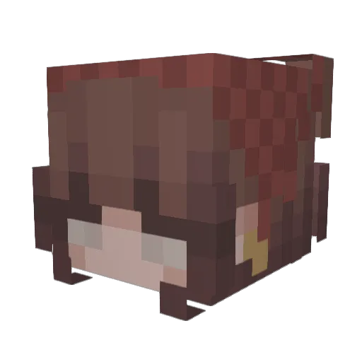 Strykow_2115 Minecraft avatar head, 3D render