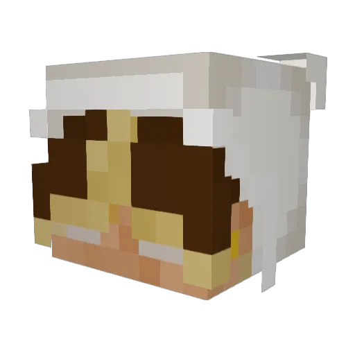 Stsik1237 Minecraft avatar head, 3D render