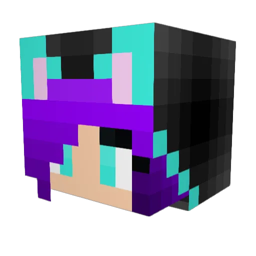 StuWars Minecraft avatar head, 3D render