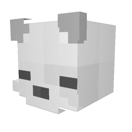 Stu_Fox Minecraft avatar head, 3D render