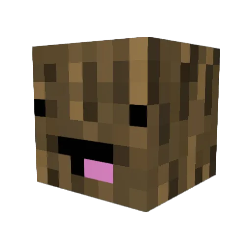 Stubben00 Minecraft avatar head, 3D render