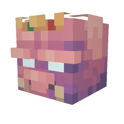 StubblyJeans Minecraft avatar head, 3D render