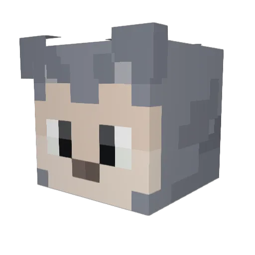 Stubes_ Minecraft avatar head, 3D render