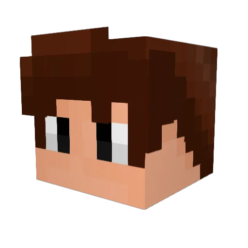 Student_ukraine3 Minecraft avatar head, 3D render