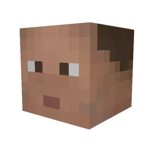 Students Minecraft avatar head, 3D render