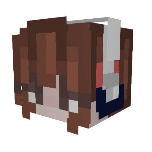 Studies Minecraft avatar head, 3D render