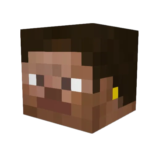 StudioNinoSpruyt Minecraft avatar head, 3D render