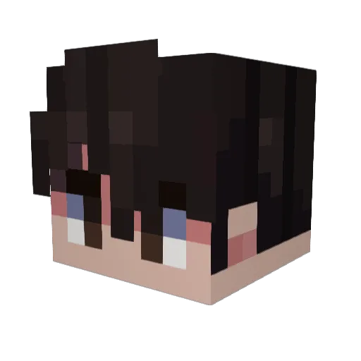 Studley_ Minecraft avatar head, 3D render