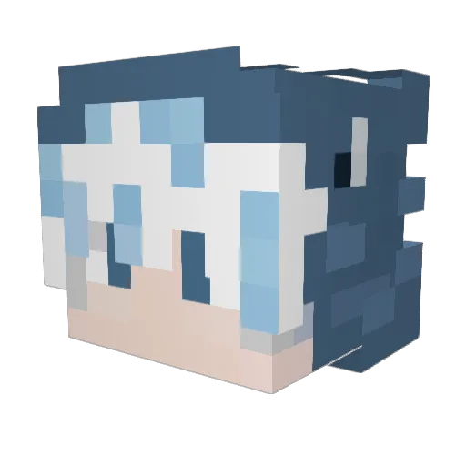 Study_Hard Minecraft avatar head, 3D render