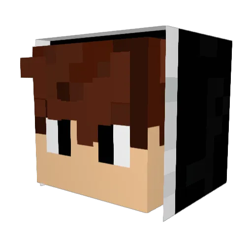Studziak Minecraft avatar head, 3D render