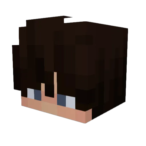 StuffWithSolos Minecraft avatar head, 3D render