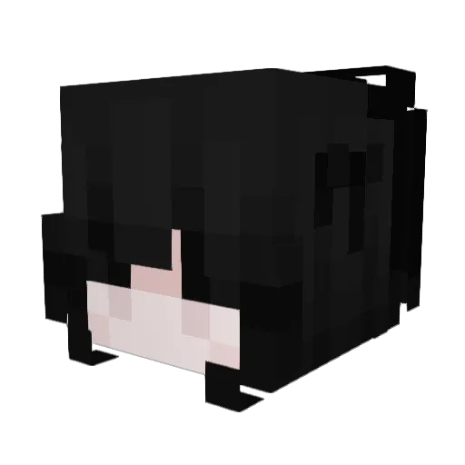 Stuffies Minecraft avatar head, 3D render