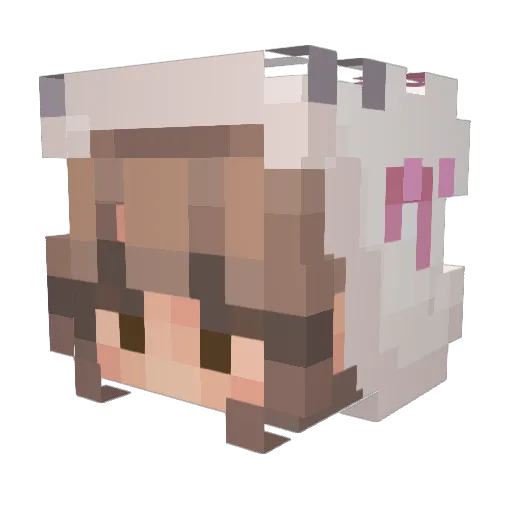 Stuffy164 Minecraft avatar head, 3D render
