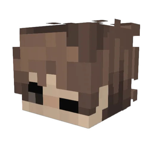 Stuffy_trucks Minecraft avatar head, 3D render