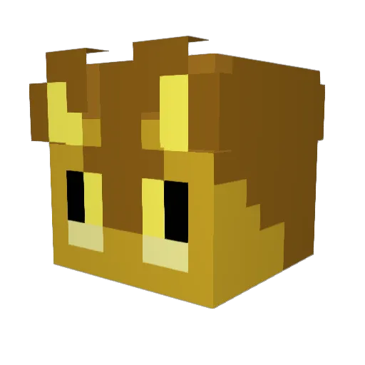 StuifMeel_ Minecraft avatar head, 3D render
