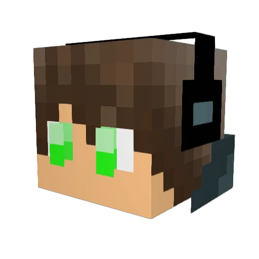 StuiterBal_NL Minecraft avatar head, 3D render