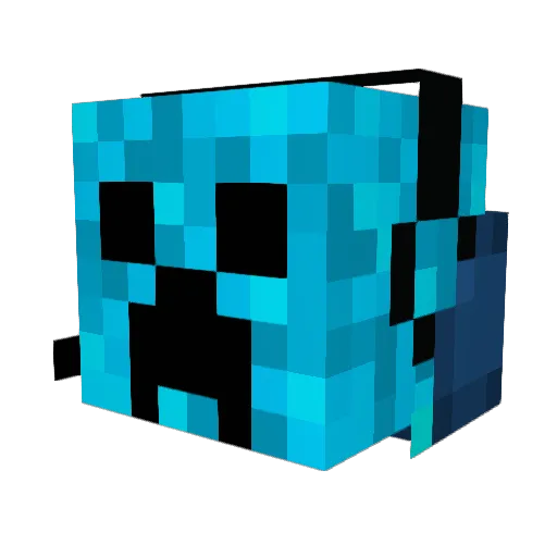 Stultus0 Minecraft avatar head, 3D render