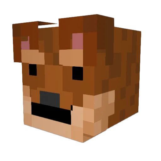 StumblePaws Minecraft avatar head, 3D render