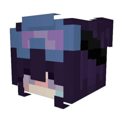 Stumpjumper_ Minecraft avatar head, 3D render