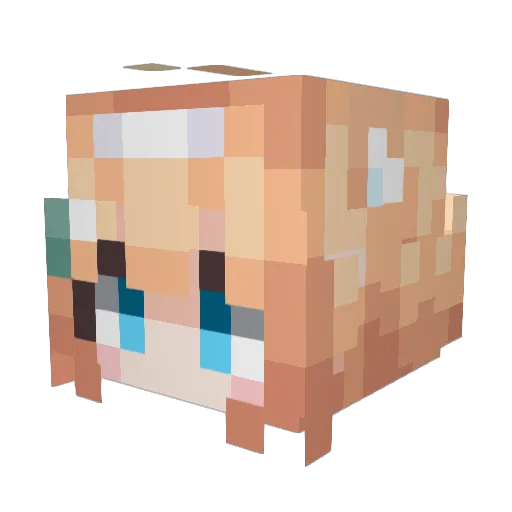 Stumpyoff Minecraft avatar head, 3D render