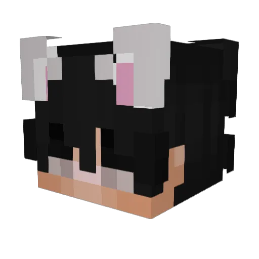 StunNJump Minecraft avatar head, 3D render