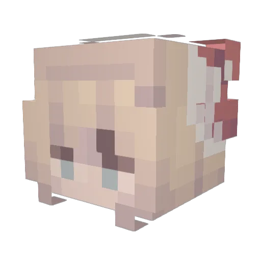 Stunky_ Minecraft avatar head, 3D render