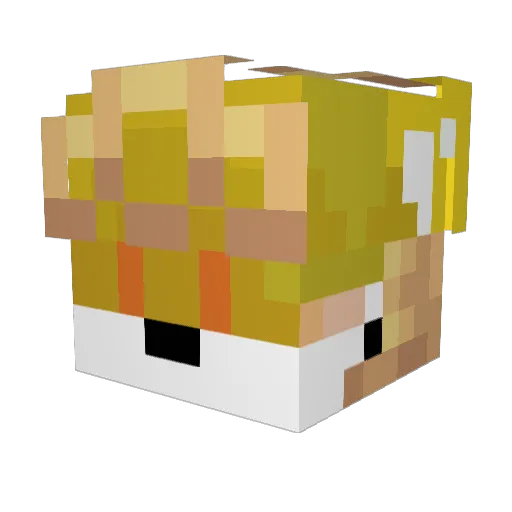 Stunze Minecraft avatar head, 3D render