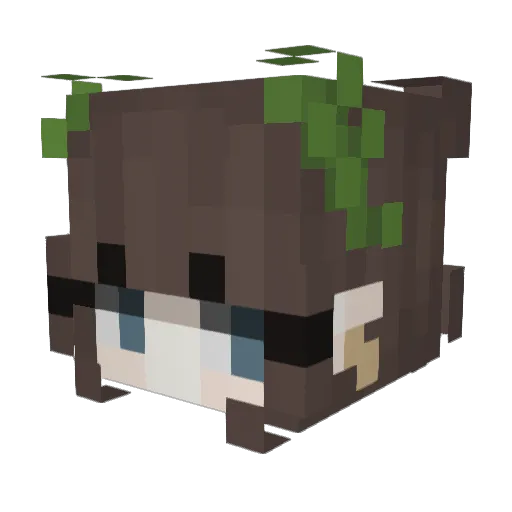 Stupeline Minecraft avatar head, 3D render