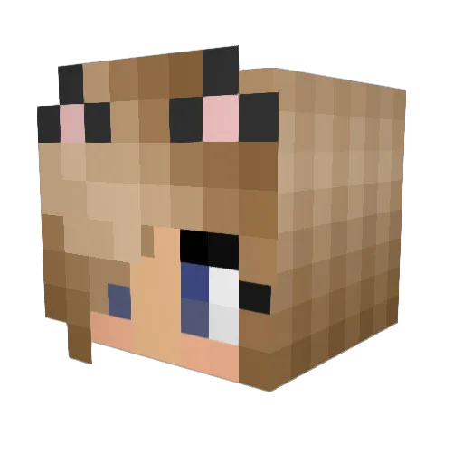 StupidClover Minecraft avatar head, 3D render