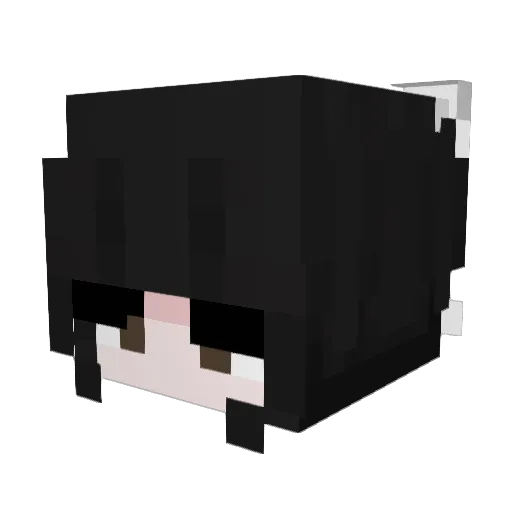 StupidCowm Minecraft avatar head, 3D render