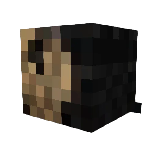 StupidDumbIdiot8 Minecraft avatar head, 3D render