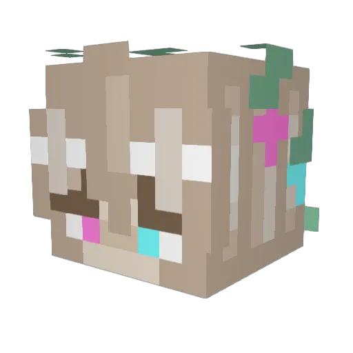 StupidNoob3345 Minecraft avatar head, 3D render