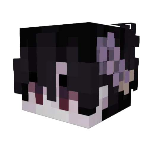 StupidPai Minecraft avatar head, 3D render