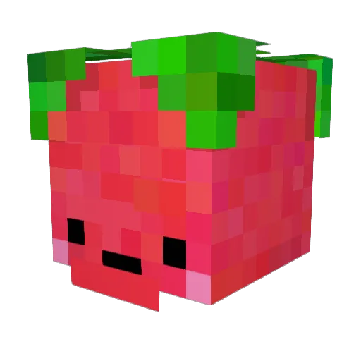 StupidPerson462 Minecraft avatar head, 3D render