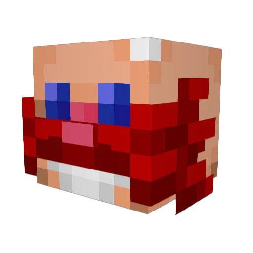 StupidSock1 Minecraft avatar head, 3D render