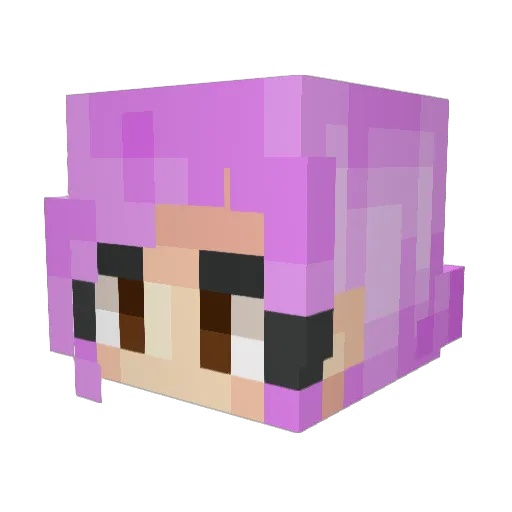 StupidSweetSauce Minecraft avatar head, 3D render
