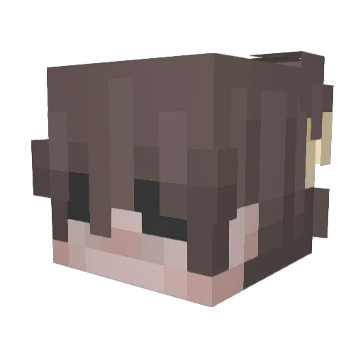 Stupid_AmoraL Minecraft avatar head, 3D render
