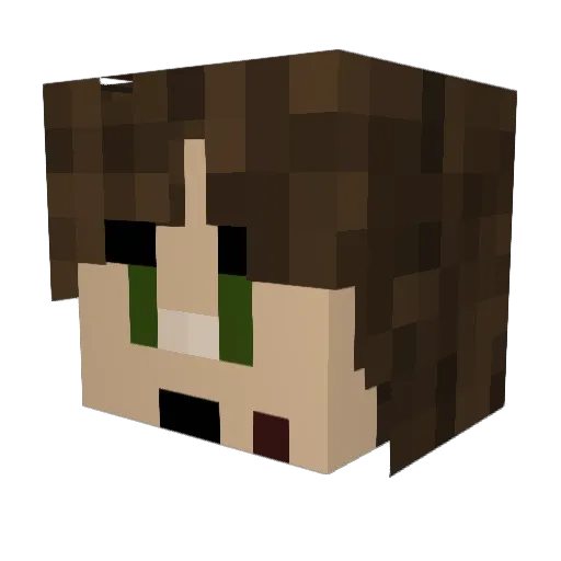 Stupid_Atreus Minecraft avatar head, 3D render