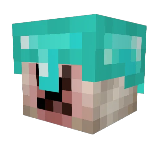 Stupid_Axolotl Minecraft avatar head, 3D render