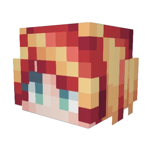 Stupid_Cat795 Minecraft avatar head, 3D render