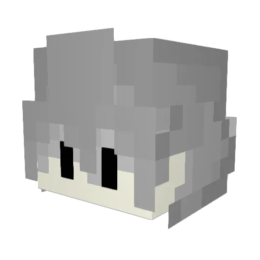 Stupid_ShangYe Minecraft avatar head, 3D render