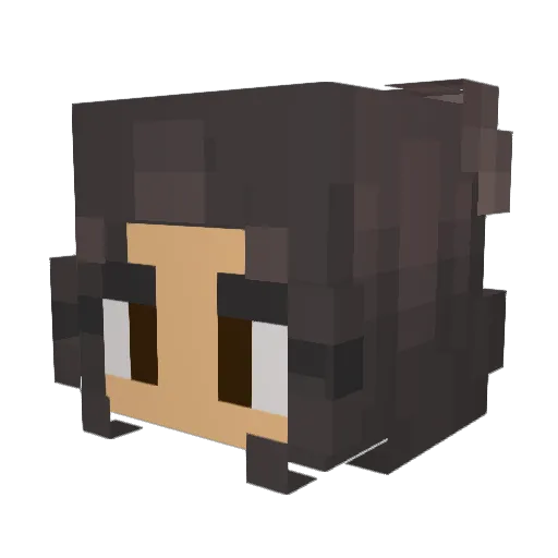 StupidcheaterL Minecraft avatar head, 3D render
