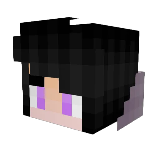 Stupidking09 Minecraft avatar head, 3D render