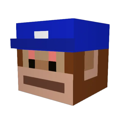 Stupidorange205 Minecraft avatar head, 3D render